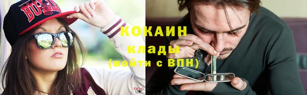 метадон Богданович