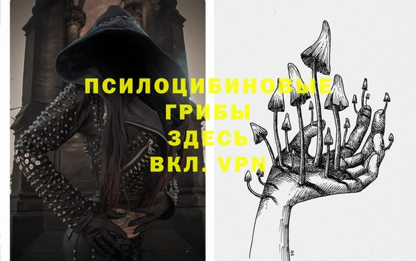 метадон Богданович