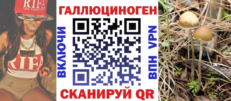 Купить  Микунь  Галлюциногенные грибы MAGIC MUSHROOMS 